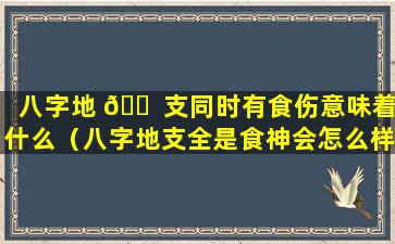 八字地 🐠 支同时有食伤意味着什么（八字地支全是食神会怎么样）